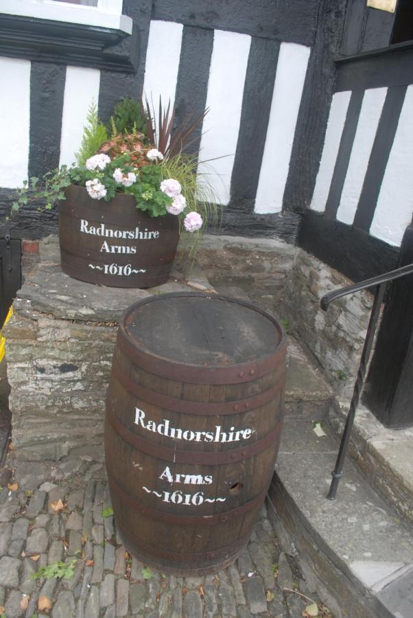 The Radnorshire Arms Hotel Presteigne Exterior foto